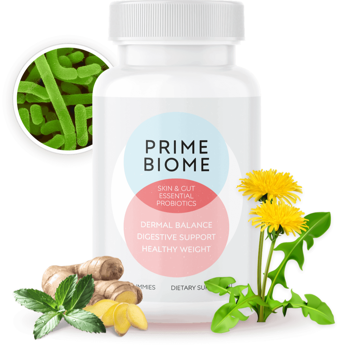 primebiome official site